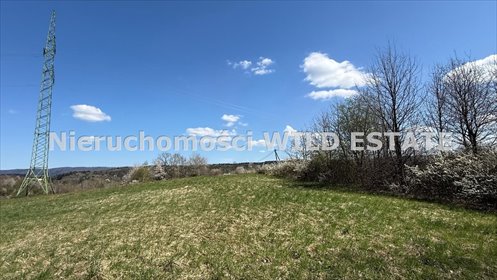 Zapraszam do obejrzenia działki rolnej 2900 m² z dostępem asfaltowym działka Lesko, Jankowce