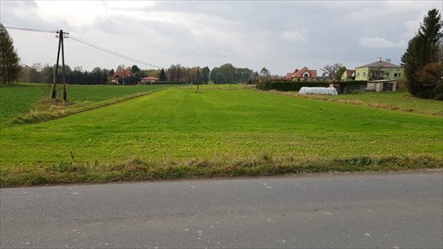 działka na sprzedaż 12150m2 działka Korczyna
