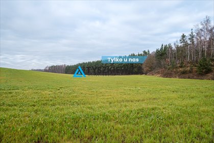 działka na sprzedaż 5915m2 działka Pierwoszyno