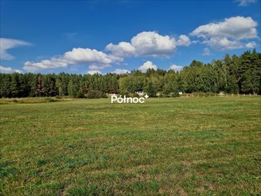 działka na sprzedaż 8022m2 działka Krynickie