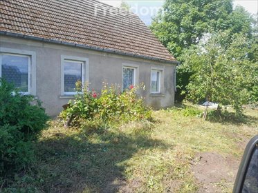 Siedlisko z potencjałem 130 m² - możliwość dokupienia 4 ha dom Pniewo