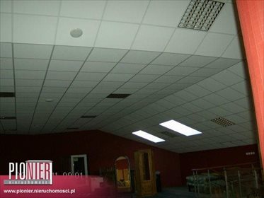lokal użytkowy na wynajem 1259m2 lokal użytkowy Szczecin, Gumieńce