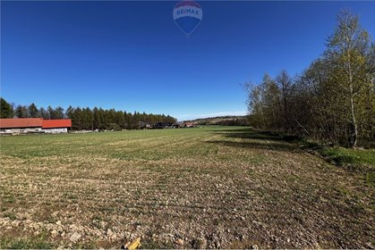 działka na sprzedaż 6003m2 działka Pogórze