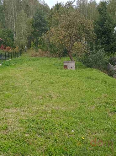 działka na sprzedaż 6000m2 działka Jaworze