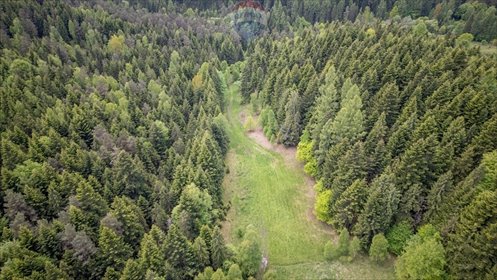 działka na sprzedaż 2873m2 działka Krzeszów