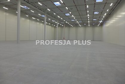 lokal użytkowy na wynajem 5500m2 lokal użytkowy Sosnowiec