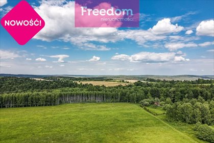 Działka rekreacyjna na sprzedaż Borownica 25 700m2 Foto 1