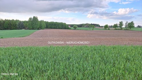 Działka 1,87 ha z warunkami zabudowy i blisko natury. działka Otręba