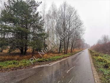 działka na sprzedaż 4400m2 działka Jaktorów-Kolonia