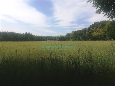 działka na sprzedaż 61100m2 działka Rozalin