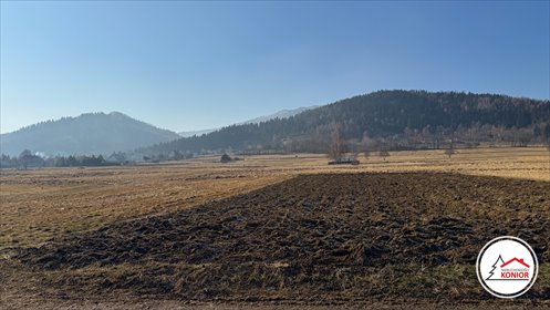 Działka budowlana na sprzedaż Lipowa 1 756m2 Foto 3