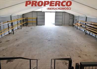 Hala 300 m² z placem i kontenerem socjalnym w Kielcach magazyn Kielce, Sieje