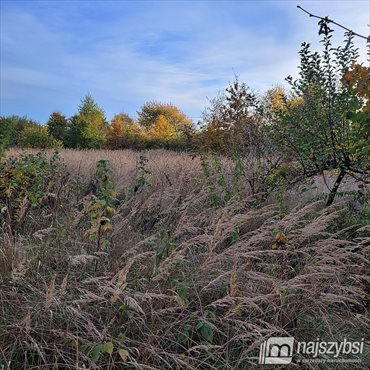 Działka rolna zadrzewiona 2992 m2 blisko jeziora i ROD działka Nowogard, Obrzeża miasta