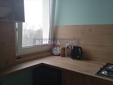 mieszkanie na wynajem 24m2 mieszkanie Dzierżoniów