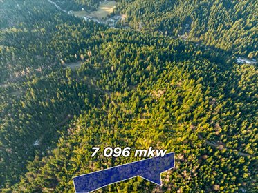 Leśna działka w Gorcach, 7096 m², cisza i prywatność działka Nowotarski, Pienińska
