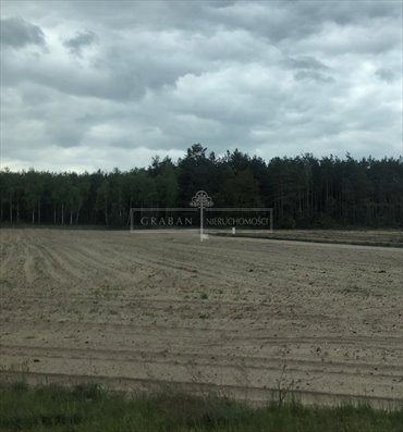 Zapraszam do zakupu działki 3618 m² z warunkami zabudowy działka Rynarzewo