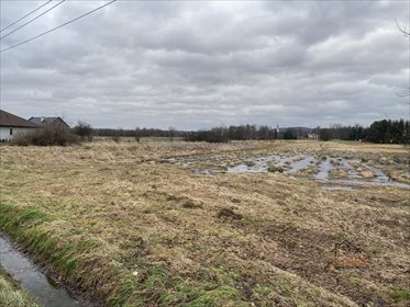 działka na sprzedaż 10000m2 działka Brzeźnica