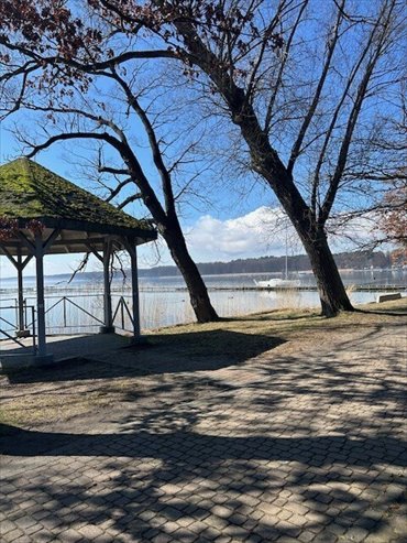 działka na sprzedaż 7815m2 działka Morzyczyn