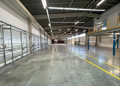 lokal użytkowy na wynajem 2622m2 lokal użytkowy Dąbrowa Górnicza