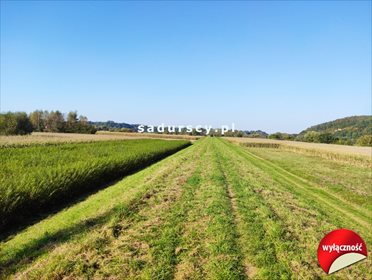 Działka budowlana na sprzedaż Ściejowice 6 000m2 Foto 4