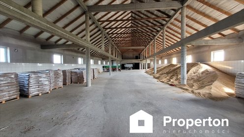 magazyn na wynajem 2057m2 magazyn Kuczyn