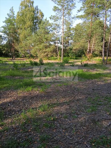 Do sprzedania działka 1390 m² w Chotomowie z mediami działka Chotomów
