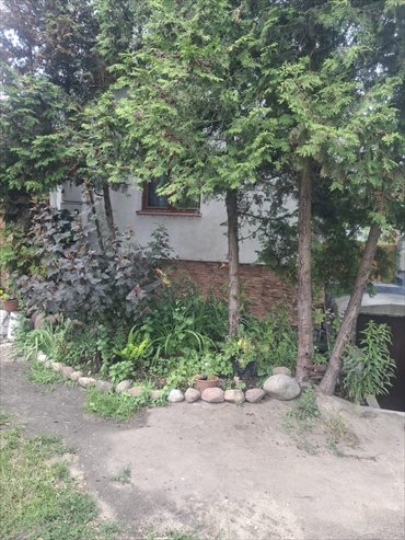 Zapraszam do domu 60 m² z możliwością rozbudowy w Wawrze dom Warszawa, Wawer, Zbytki