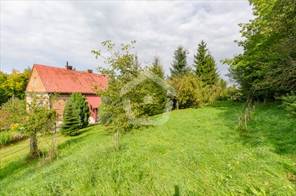 Na sprzedaż przestronny dom 120 m² z działką 53 arów w Kielnarowej dom Kielnarowa