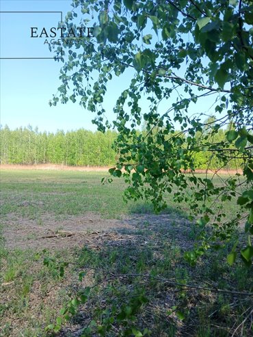 Inwestycyjna działka w Korytach – gotowy projekt! działka Koryta, Północna