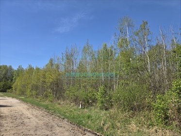 Działka 1710 m² z MPZP, media, zielona okolica działka Szczęsne