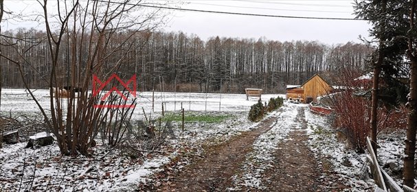 działka na sprzedaż 3809m2 działka Pasynki