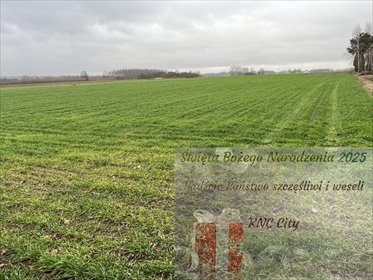 działka na sprzedaż 11082m2 działka Babin