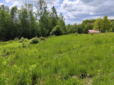 działka na sprzedaż 4200m2 działka Chmielnik