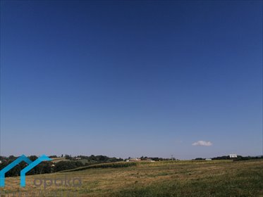 Działka rolna na sprzedaż Łączka, Wierzbowa 20 000m2 Foto 7