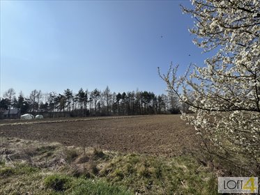 Działki budowlane w Bobrownikach Wielkich (826 m²) z warunkami zabudowy działka Bobrowniki Wielkie