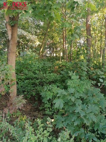 Działka budowlana 2247 m² w Legionowie (media miejskie) działka Legionowo