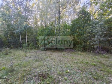 Działka 1300 m² z MPZP, media, las - polecam! działka Ojrzanów