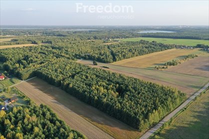 działka na sprzedaż 10000m2 działka Jagodno