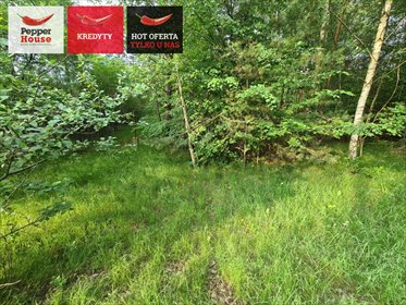 działka na sprzedaż 3110m2 działka Gdynia, Chwarzno-Wiczlino, Wiczlińska