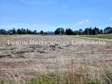 Sprzedam działki budowlane 1218 m² w Trzebnicach działka Trzebnice