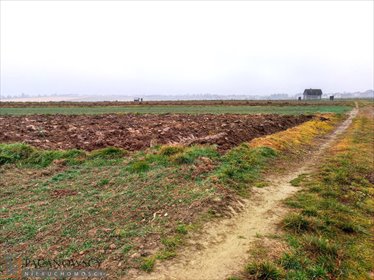 działka na sprzedaż 3500m2 działka Cianowice