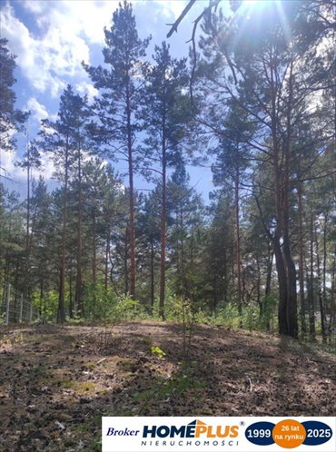 działka na sprzedaż 2663m2 działka Radzymin, Rejentówka