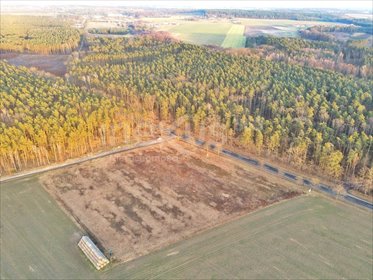 działka na sprzedaż 13200m2 działka Ostrowina