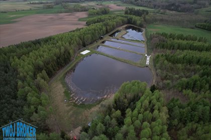 Posesja z lasem, stawami i domem do rozbudowy - polecam! lokal użytkowy Bytów, Bytów