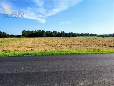 Do sprzedania ziemia rolna 9,87 ha z budynkiem w Januszew działka Januszew