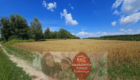 działka na sprzedaż 3342m2 działka Karczmiska Drugie