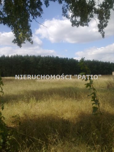 Działka budowlana na sprzedaż Czarne Piątkowo 19 500m2 Foto 1