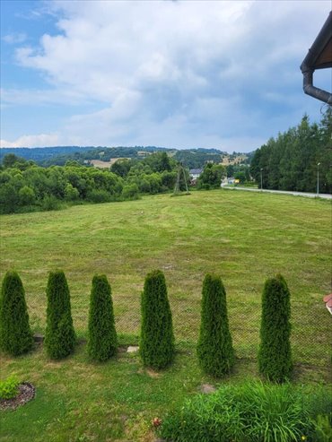 działka na sprzedaż 6860m2 działka Pewel Mała