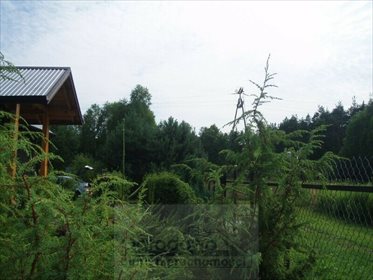 Dom na sprzedaż Strachówka 130m2 Foto 7