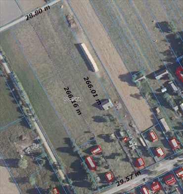 Działka siedliskowa na sprzedaż Nowa Wola 7 700m2 Foto 3